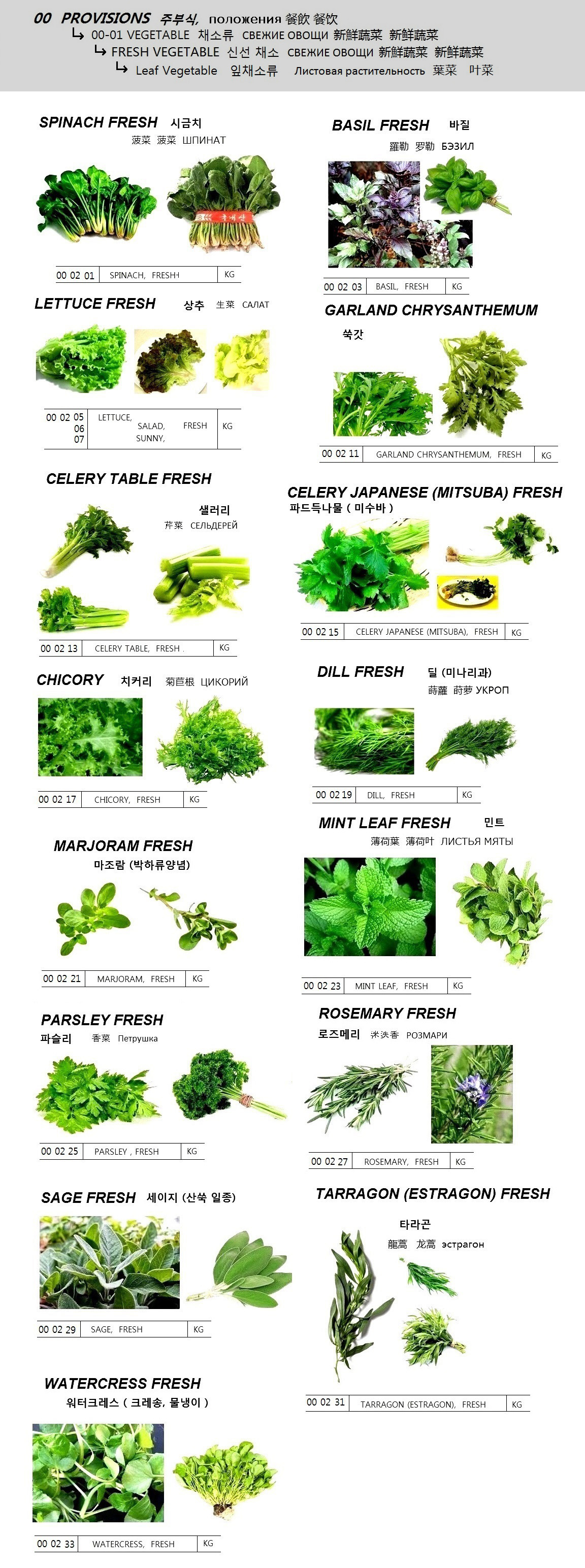 WATERCRESS, FRESH