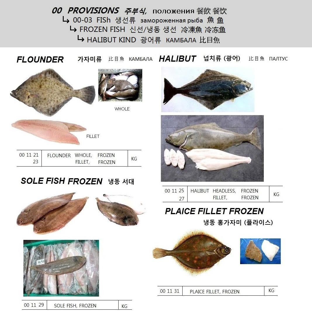 FLOUNDER FILLET, FROZEN