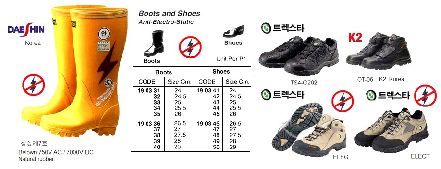 ANTI-ELECTRO-STATIC BOOTS, 27 CM | Daeshin, Korea (2018-12)