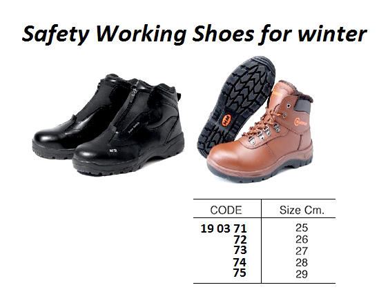STEEL TOE SNEAKER, 30 CM | HanYang (2016-8)