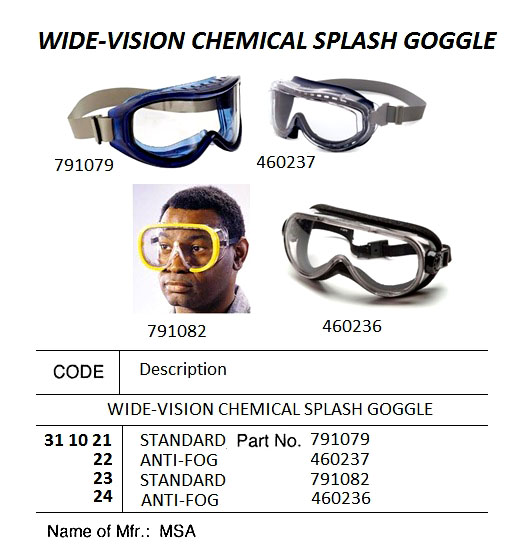 FLEXI-CHEM IV SAFETY GOGGLE, 10106281, MSA | Honeywell, Europe (2017-4)