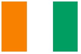 MERCHANT FLAG 4'x 6' BUNTING GUINIA | 110x165 cm, Korea (2019-5)