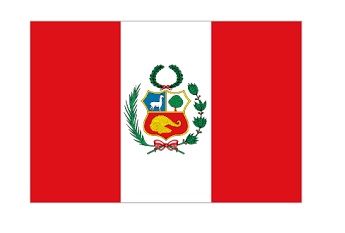 MERCHANT FLAG 3'x 4' BUNTING PARAGUAY | 90x135 cm, Korea (2019-5)