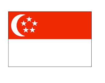 MERCHANT FLAG 3'x 4' BUNTING SAUDI ARABIA | 90x135 cm, Korea (2019-5)
