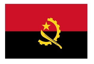 MERCHANT FLAG 3'x 4' BUNTING ALGERIA | 90x135 cm, Korea (2019-5)