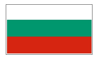 MERCHANT FLAG 4'x 6' BUNTING BRAZIL | 110x165 cm, Korea (2019-5)
