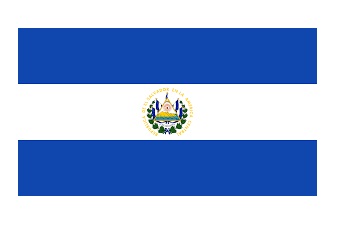 MERCHANT FLAG 4'x 6' BUNTING EGYPT | 110x165 cm, Korea (2019-5)