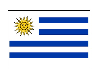 MERCHANT FLAG 6'x 8' BUNTING UNITED ARAB EMIRATES | 180x240 cm, Korea (2019-5)
