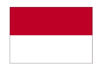 NATIONAL FLAG, SIZE:2'x 3', INDIA