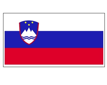 NATIONAL FLAG, SIZE:2'x 3', SLOVAK REPUBLIC
