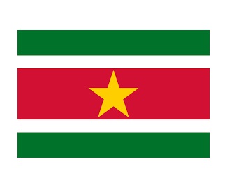 NATIONAL FLAG, SIZE:2'x 3', SURINAME