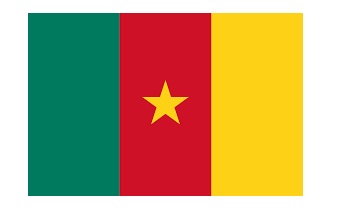 NATIONAL FLAG, SIZE:3'x 4', CAMBODIA | 90x135 cm, Korea (2019-5)