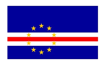 NATIONAL FLAG, SIZE:3'x 4', CAMEROON | 90x135 cm, Korea (2019-5)