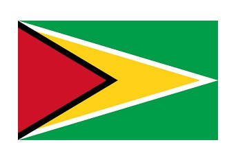 NATIONAL FLAG, SIZE:3'x 4', REPUBLIC OF GUINEA-BISSAU GUYANA | 90x135 cm, Korea (2019-5)