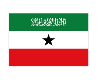 NATIONAL FLAG, SIZE:3'x 4', SOMALILAND | 90x135 cm, Korea (2019-5)