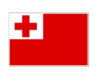 NATIONAL FLAG, SIZE:3'x 4', TOGO | 90x135 cm, Korea (2019-5)