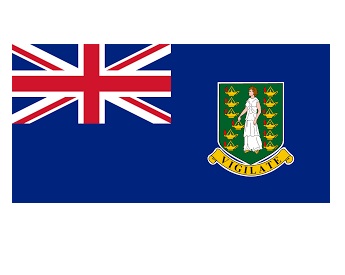 NATIONAL FLAG, SIZE:3'x 4', VATICAN CITY | 90x135 cm, Korea (2019-5)