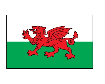 NATIONAL FLAG, SIZE:3'x 4', WAKE ISLAND | 90x135 cm, Korea (2019-5)