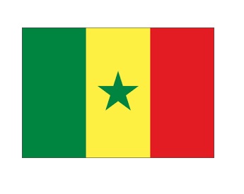 NATIONAL FLAG, SIZE:3'x 5', SAUDI ARABIA | 90x135 cm, Korea (2019-5)