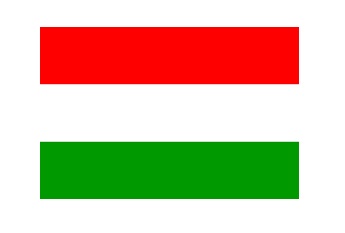 NATIONAL FLAG, SIZE:4'x 6', GUYANA | 110x165 cm, Korea (2019-5)