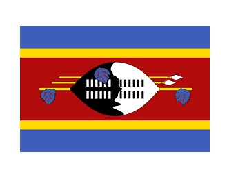 NATIONAL FLAG, SIZE:4'x 6', SOUTH GEORGIA | 110x165 cm, Korea (2019-5)