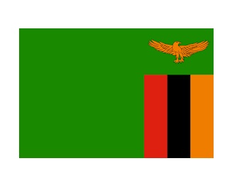 NATIONAL FLAG, SIZE:4'x 6', WESTERN SAHARA | 110x165 cm, Korea (2017-5)