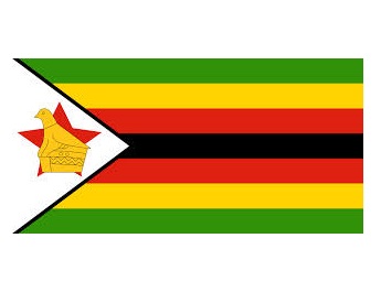 NATIONAL FLAG, SIZE:4'x 6', ZAMBIA | 110x165 cm, Korea (2019-5)