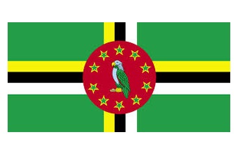 NATIONAL FLAG, SIZE:6'x 8', DJIBOUTI | 180x240 cm, Korea (2019-5)