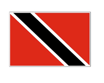 NATIONAL FLAG, SIZE:6'x 8', TONGA | 180x240 cm, Korea (2019-5)