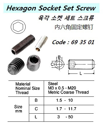 HEXAGON SOCKET SET SCREW ( METT. SIZE.L ? )