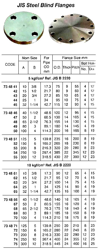 JIS STEEL BLIND FLANGE, JIS B 2220, 10 KG/CM2, 250 A | Jail (2018-2)